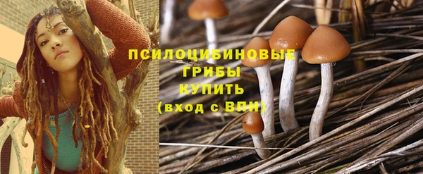 стафф Каменка