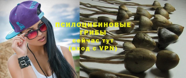 гидропоника Алексин