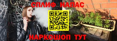 прущие грибы Ликино-Дулёво
