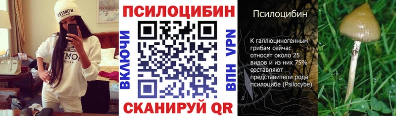 купить наркотик  Десногорск  MEGA ссылки  Псилоцибиновые грибы Psilocybe 