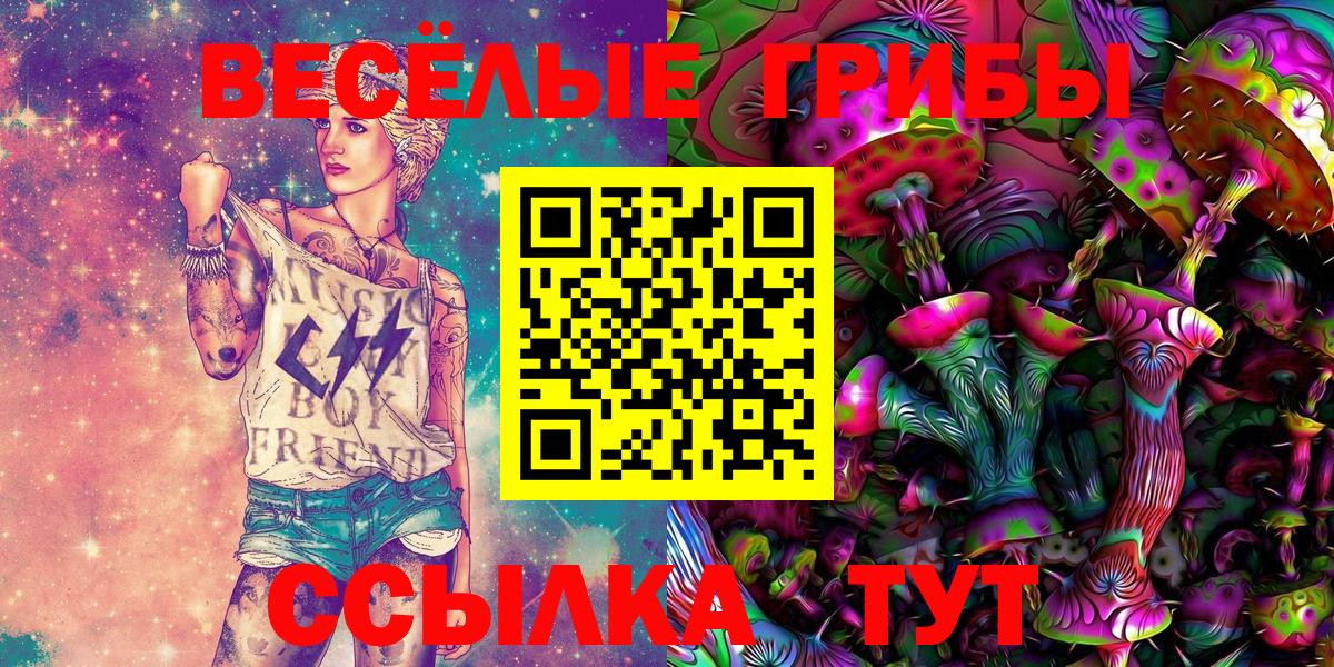 Псилоцибиновые грибы Cubensis Десногорск