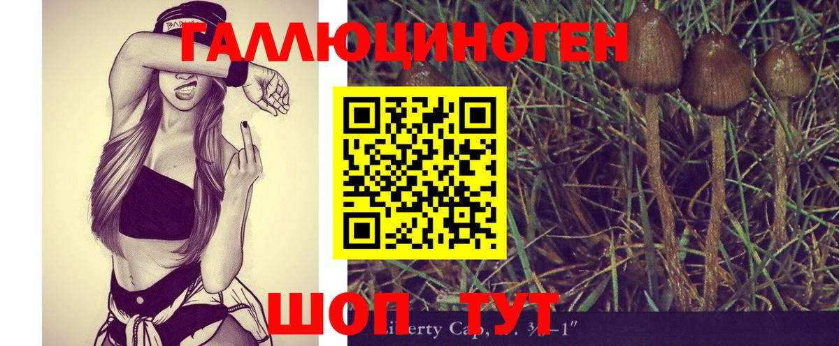 Псилоцибиновые грибы Magic Shrooms  Вход с VPN  Десногорск 