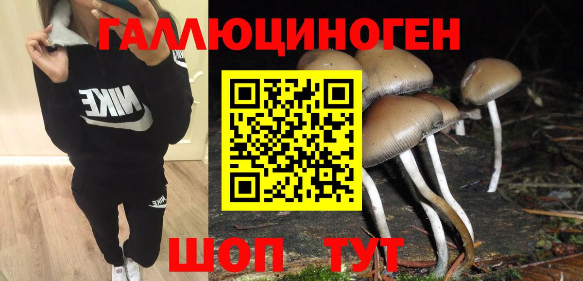  КОКАИН Десногорск